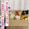 お米やペットボトルなどの重い物の買い物代行いたします。