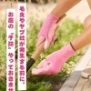 毛虫やヤブ蚊が出てくる前に、お庭の「予防」をしませんか