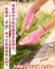 「毛虫やヤブ蚊が出てくる前に、お庭の「予防」をしませんか」