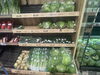 原田ファーム「NO155　こだわり京都地場野菜が買えますよ」