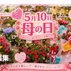 5月10日は母の日💕