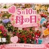 5月10日は母の日💕