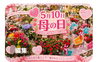 母の日に沢山の可愛いお花揃えました「5月10日は母の日💕」