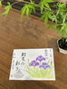 直書き御朱印「✨ 五月の月替特別御朱印『初夏の彩り』」