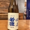 福岡の日本酒「若波 本醸造」入荷しました🍶