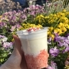 5月3日 青梅大祭 カフェOPENです！