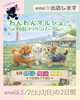 「わんわんマルシェ in KOBEメリケンパーク vol.7に出店します🐶✨」