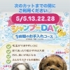 5月限定「シャンプーDAY」のご案内