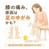 膝の痛み＝軟骨のせい？実は「足裏のアーチと外反母趾」が関係しているかも