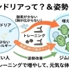 【全人類必見】あなたの中に「20億年前の居候」がいる！？