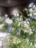ブルーとホワイトとグリーン「みずみずしい季節に」