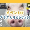動物病院の開院イベントをお手伝いしてきました！