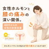 体質改善！女性ホルモンと膝の悩みにアプローチ「女性ホルモンと膝の痛みの深い関係。40代からの体質づくり」