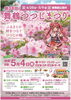 「本日「第38回 舞鶴つつじ祭り」に出店します🌺✨」