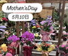 「5月10日は母の日⋆⸜🌷⸝‍⋆」