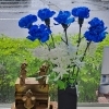 ブルー系のお花はいかがですか