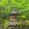 新緑に包まれた池と飛財殿｜静けさに癒やされるひととき