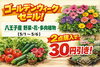 ゴールデンウィークセール開催中‼　5/1-5/6「5/1-5/6　GWセール開催中‼　オール八王子産SHOP　八王子産野菜　八王子産花苗　八王子産多肉　組み合わせ２点で３０円引き　店内も見てって下さい。」