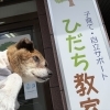 看板犬「クマラ」のご紹介と、ひだち教室で大切にしていること