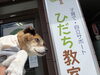心に寄り添う安心の空間「看板犬「クマラ」のご紹介と、ひだち教室で大切にしていること」