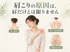 肩こりは、肩だけでなく首・背中・骨盤のバランスが関係していることもあります。「草津市・南草津で肩こりにお悩みの方へ｜肩だけではない原因と姿勢・首・肩甲骨の関係」
