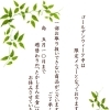 ゴールデンウィーク及び5月休業日のお知らせ