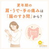 腸から整えて、更年期の関節痛に専門アプローチ「更年期の肩・うで・手の痛みは「腸のすき間」から？炎症体質を見直すヒント」