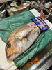 特選鮮魚を贅沢にお楽しみください「愛媛から届いた旬の天然魚—お造りや焼き物でどうぞ」