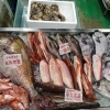 📣本日の店内情報🐟