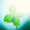 GW休みのご案内🍀