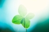 「GW休みのご案内🍀」