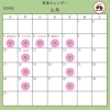 ゴールデンウィーク期間と5月の営業日・休業日のお知らせ【ビッグウェーブ松山店】