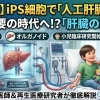 iPS細胞から生まれた「人工肝臓オルガノイド」