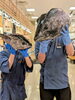 「ゴールデンウィーク西浅草津店は 🐟️【本まぐろ推し】🐟️」