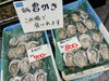 「京都府産 岩がき特大サイズ＆まぐろ・ひらまさの握り寿司がお買い得！」