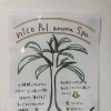 aromaヘッドスパ☆青梅市河辺駅から徒歩5分☆「nico pal hair salon」