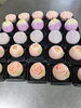 「上生菓子のご注文」