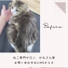絶対失敗できない！？最初が肝心！！！