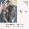 絶対失敗できない！？最初が肝心！！！