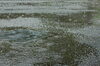 「大雨なり・・・」