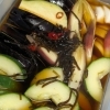 【魚も酒も自ら厳選する瑞江の小料理屋】