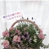 母の日の贈り物に♪優しい色合いの寄せ植え・バスケット承ります