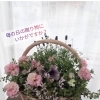 母の日の贈り物に♪優しい色合いの寄せ植え・バスケット承ります