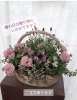 母の日の贈り物に最適、一点物「母の日の贈り物に♪優しい色合いの寄せ植え・バスケット承ります」