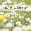 5月の不調の正体「五月病」ってなに？体と心に起きていること