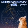 🌟 杉並区版☆12星座占い 🌟まいぷれ☆星見にゃんこ🌟5/4〜5/10