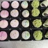 上生菓子のご注文