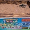 あそぼう！みんなの森🌳🌊開催中