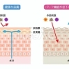 なぜ〝化学成分〟は肌に悪い？理由はバリア機能と“菌”にあった！