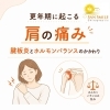 更年期に起こる肩の痛み｜腱板炎とホルモンバランスのかかわり